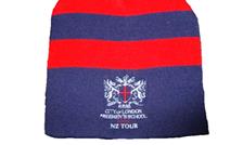 Other Beanie Hats